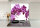 K&uuml;chenr&uuml;ckwand Glas 65x60 Spritzschutz Herd Sp&uuml;le Fliesenschutz Blumen Violett