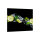 K&uuml;chenr&uuml;ckwand Glas 65x60 Spritzschutz Herd Sp&uuml;le Fliesenschutz Obst Schwarz
